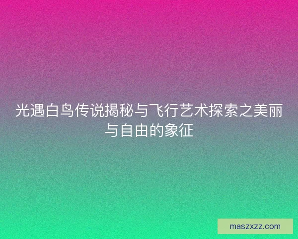 光遇白鸟传说揭秘与飞行艺术探索之美丽与自由的象征